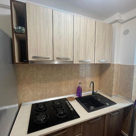 Apartament 1 Haţeg エクステリア 写真